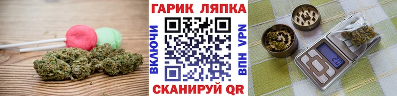 где найти наркотики  Староминская  Cannafood конопля 