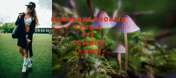 ECSTASY Богородск