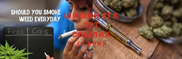 ECSTASY Богородск
