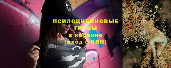 ECSTASY Богородск