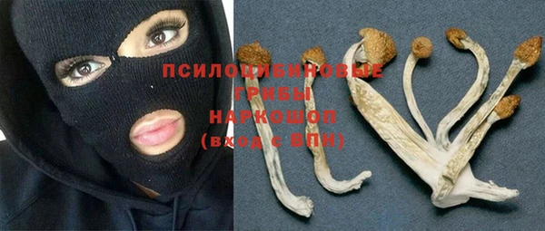 ECSTASY Богородск